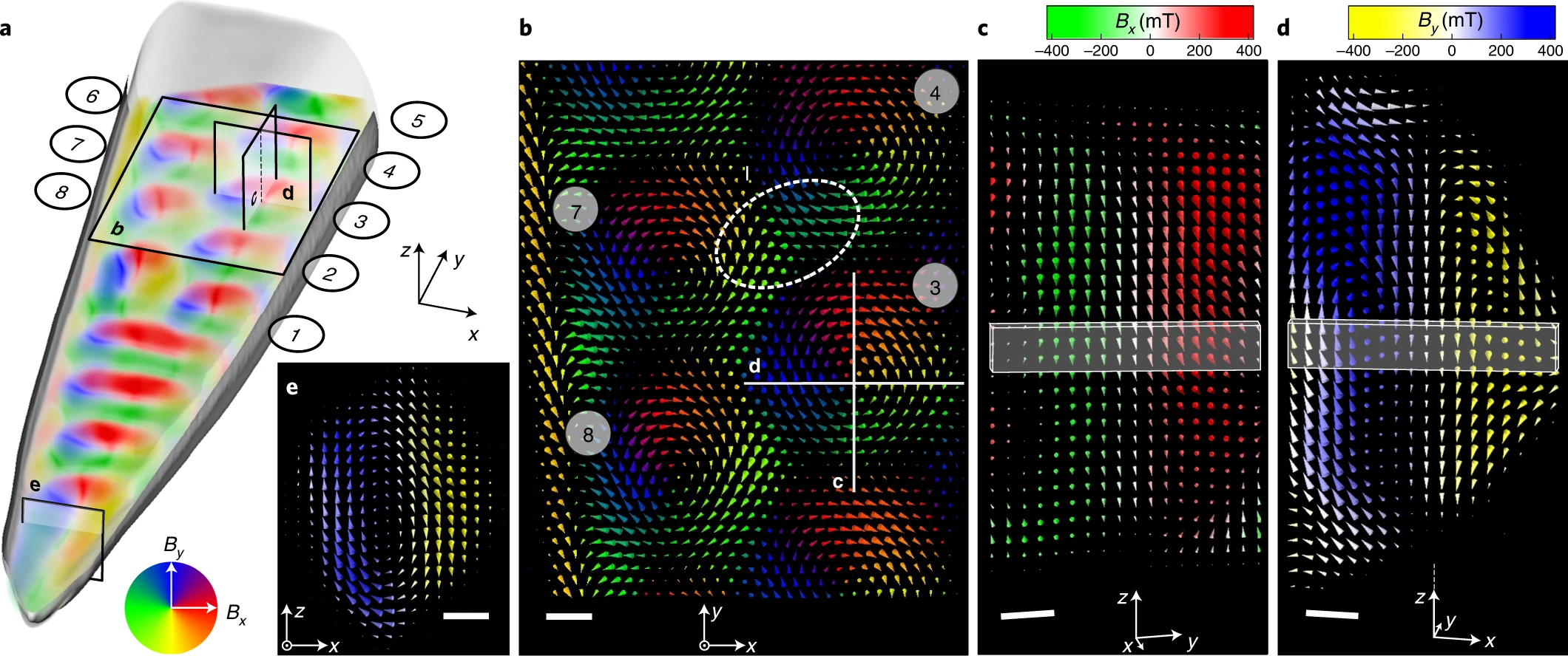 Vector field tomography